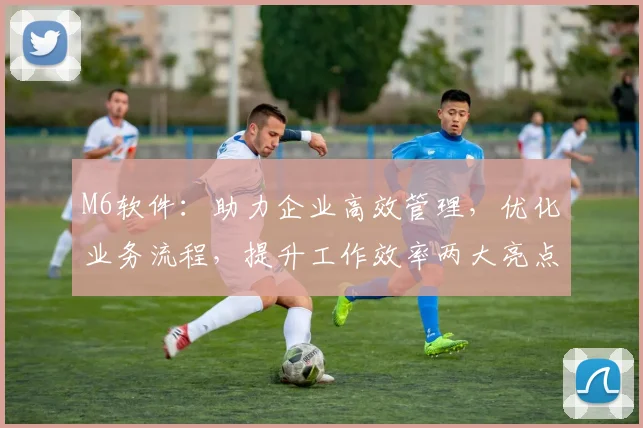 M6软件：助力企业高效管理，优化业务流程，提升工作效率两大亮点，值得信赖