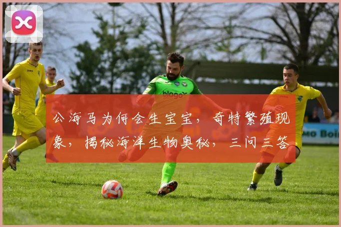 公海马为何会生宝宝，奇特繁殖现象，揭秘海洋生物奥秘，三问三答